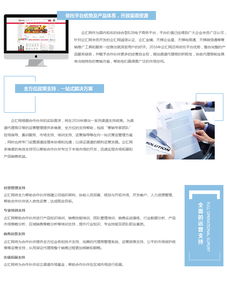 专业网站建设代理服务 一站式解决方案赋能企业数字化转型