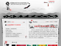 艺创网络 打造专业产品展示类网站，助力企业营销升级